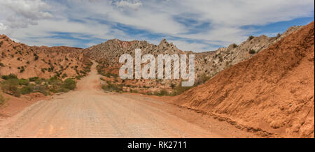 Panorama di una strada di ghiaia a Los Cardones National Park, Argentina Foto Stock