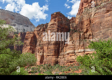 Parcheggio bus navetta in direzione di Big Bend viewpoint passando sotto la parete Touchstone, Parco Nazionale Zion, springdale, Utah, Stati Uniti. Foto Stock