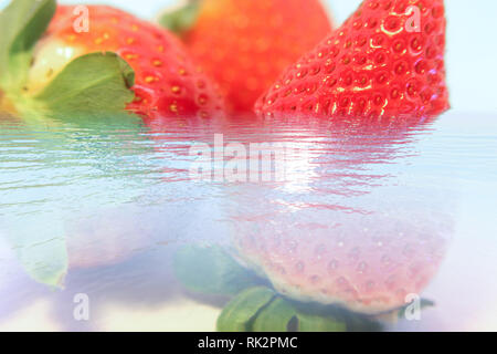Fragole gustose in acqua, Nizza bacche fresche su sfondo blu Foto Stock