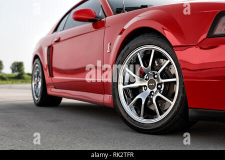 2003 Ford Mustang Cobra Foto Stock