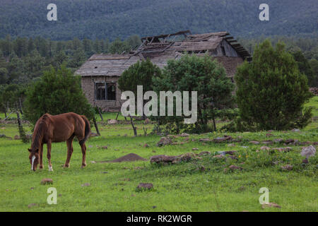 Ejido Colonia Pacheco, MPO. Casas Grandes, Chihuahua, Messico Foto Stock