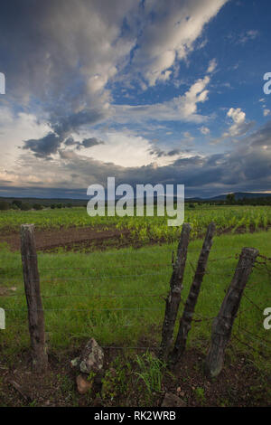 Ejido Colonia Pacheco, MPO. Casas Grandes, Chihuahua, Messico Foto Stock