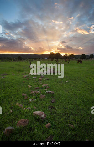 Ejido Colonia Pacheco, MPO. Casas Grandes, Chihuahua, Messico Foto Stock