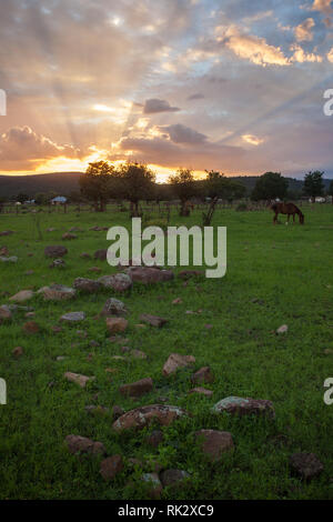 Ejido Colonia Pacheco, MPO. Casas Grandes, Chihuahua, Messico Foto Stock