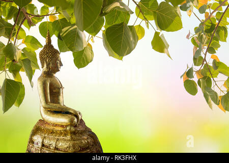 Il Buddha sotto il Bodhi lamina sullo sfondo della natura. Albero sacro per i buddisti o indù e bellezze naturali sfocato sfondo verde con raggi di sole. Foto Stock