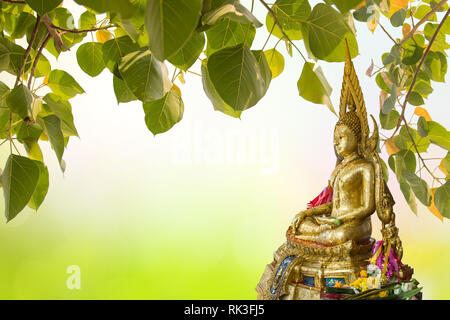 Il Buddha sotto il Bodhi lamina sullo sfondo della natura. Albero sacro per i buddisti o indù e bellezze naturali sfocato sfondo verde con raggi di sole. Foto Stock