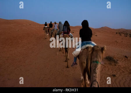 Gruppo di turisti ride dromedari all'alba nelle dune del deserto (Oman) Foto Stock