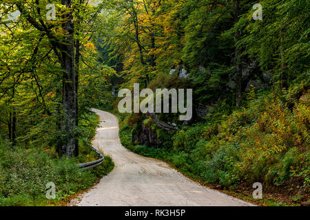 Bellissimi colori di foglie di autunno nella foresta e la strada che porta alla penisola di Babin zub (l'Grandmather il dente del picco) Foto Stock