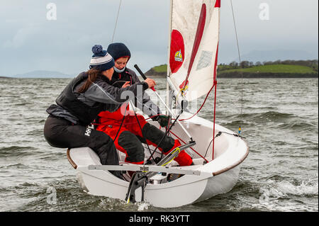 Bantry, West Cork, Irlanda. Il 9 febbraio, 2019. Bantry Sailing Club ospita l'università irlandesi Regata a vela organizzato da UCC, questo weekend quando circa 150 Marinai da 8 università in Irlanda si riuniscono per gare ed eventi sociali. La regata consiste di 80 gare su due giorni in 'Firefly' derive. Credito: Andy Gibson/Alamy Live News. Foto Stock