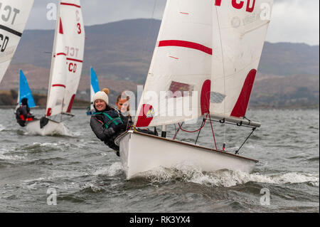 Bantry, West Cork, Irlanda. Il 9 febbraio, 2019. Bantry Sailing Club ospita l'università irlandesi Regata a vela organizzato da UCC, questo weekend quando circa 150 Marinai da 8 università in Irlanda si riuniscono per gare ed eventi sociali. La regata consiste di 80 gare su due giorni in 'Firefly' derive. Credito: Andy Gibson/Alamy Live News. Foto Stock