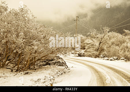 Mystic coperta di neve la strada forestale che conduce attraverso il lussureggiante fogliame, da Sonmarg a Gulmarg viaggiare a Srinagar, Pahalgam, presa in un viaggio in Kashmir Foto Stock