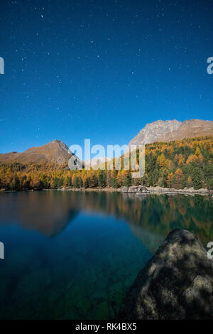 Lago di Saoseo e larici illuminato dal cielo stellato, Val di Campo, Val Poschiavo, Canton Grigioni, Svizzera Foto Stock