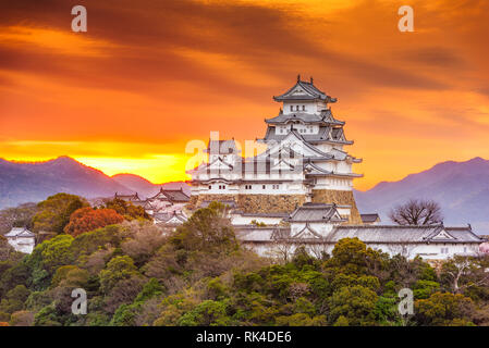 Himeji, Giappone paesaggio con il castello di Himeji all'alba. Foto Stock
