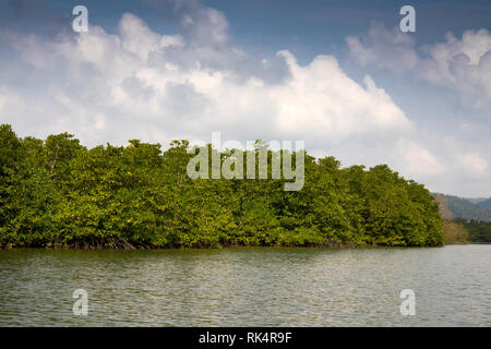 Cambogia, Koh Kong Provincia, Andoung Tuek, rivestiti di mangrovie banchi di Preak Piphot fiume in rotta per chi Phat Foto Stock