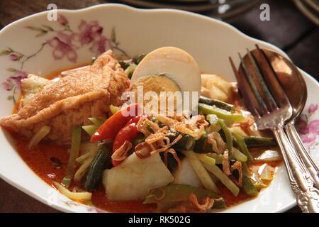 Ketupat Sayur. Popolare colazione vegetariana piatto di riso dolce nel vegetale zuppa di curry da Jakarta, Indonesia Foto Stock