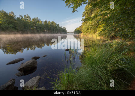 Tranquilla sole di mattina in un lago in Svezia Foto Stock