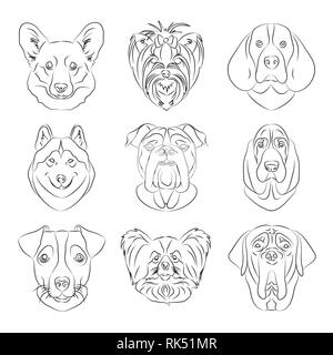 Illustrazione Vettoriale di cani di differenti razze. Illustrazione vettoriale EPS, 10 Illustrazione Vettoriale