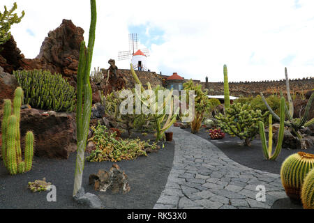 Cacti tropicali giardini a Guatiza villaggio sull'isola di Lanzarote, Spagna Foto Stock