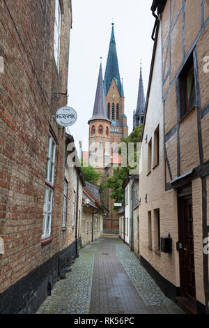 Schleswig cattedrale, Schleswig, Schleswig-Holstein, Germania, Europa Foto Stock