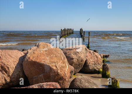 Mole con gli uccelli sul Mar Baltico. Foto Stock
