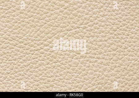 Ideale texture in pelle di colore bianco per il vostro progetto unico. Foto Stock