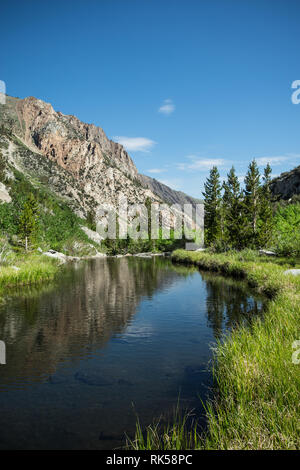 McGee Creek Canyon in estate nei pressi di Mammoth Lakes, California nella Sierra orientale Foto Stock