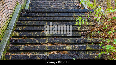 Primo piano di una scalinata scivolose nella stagione autunnale, architettura esterna, scale in mezzo alla natura Foto Stock