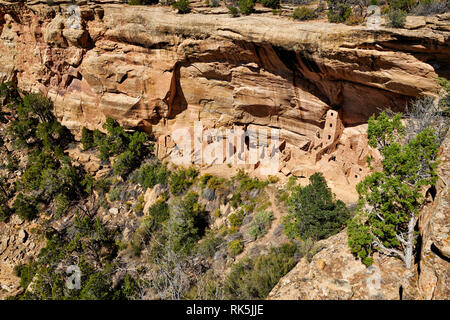 Torre quadrata House, cliff dwellings in Mesa-Verde-Parco Nazionale, sito patrimonio mondiale dell'UNESCO, Colorado, Stati Uniti d'America, America del Nord Foto Stock