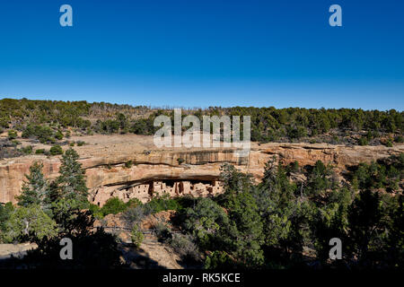 Spruce Tree House, cliff dwellings in Mesa-Verde-Parco Nazionale, sito patrimonio mondiale dell'UNESCO, Colorado, Stati Uniti d'America, America del Nord Foto Stock