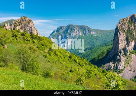 Bellissimo paesaggio delle montagne di romania. enormi scogliere di canyon. bellissimo paesaggio naturale. tempo soleggiato in primavera Foto Stock