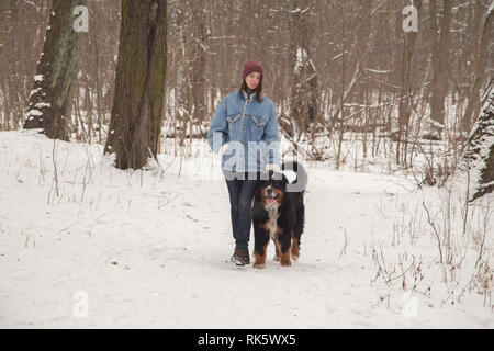 Giovane donna in inverno foresta con Bovaro del Bernese a piedi Foto Stock