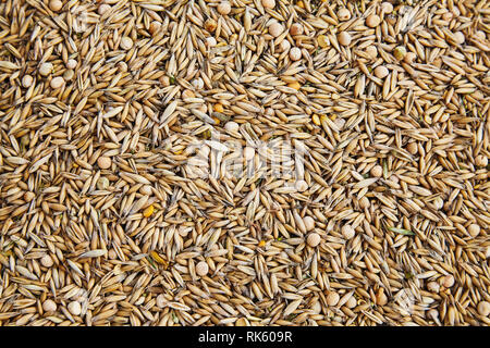 Con la buccia semi di Avena mescolati con piselli secchi i grani di sfondo. Vista dall'alto il cibo sano pattern. Foto Stock