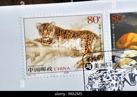 Cina - circa 2005: un timbro stampato in Cina mostra 2005-23 Leopard e Cougar (Emissione congiunta di Cina e Canada) , circa 2005 Foto Stock