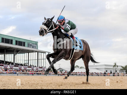 Tampa, Florida, Stati Uniti d'America. Il 9 febbraio, 2019. Febbraio 9, 2019: ben definito #9, guidato da Pablo Morales, vince la Sam F. Davis Stakes sulla baia di Tampa Derby giornata di anteprima a Tampa Bay Downs a Tampa, in Florida. Scott Serio/Eclipse Sportswire/CSM/Alamy Live News Foto Stock