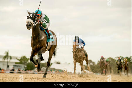 Tampa, Florida, Stati Uniti d'America. Il 9 febbraio, 2019. Febbraio 9, 2019: ben definito #9, guidato da Pablo Morales, vince la Sam F. Davis Stakes sulla baia di Tampa Derby giornata di anteprima a Tampa Bay Downs a Tampa, in Florida. Scott Serio/Eclipse Sportswire/CSM/Alamy Live News Foto Stock