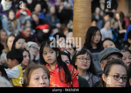 New York, Stati Uniti d'America. 10 feb 2019. La gente guarda una performance per celebrare il capodanno cinese al posto di Brookfield in Lower Manhattan di New York City, Stati Uniti nel febbraio 9, 2019. Circa duemila persone hanno assistito ad una performance per celebrare il capodanno cinese di sabato al posto di Brookfield, una piscina area commerciale in Lower Manhattan di New York City. e credito: Xinhua/Alamy Live News Foto Stock