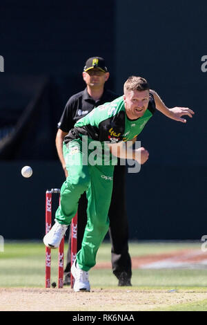 Melbourne, Australia. 10 Febbraio, 2019. Australian Big Bash Cricket, Melbourne stelle rispetto a Sydney Sixers; Jackson Bird di Melbourne la stelle bocce Credito: Azione Sport Plus/Alamy Live News Foto Stock