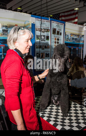 New York, Stati Uniti d'America. 9 Feb 2019. Soddisfare le razze, Westminster Dog Show, Pier 92, New York City. Credito: Valery Rizzo/Alamy Live News Foto Stock