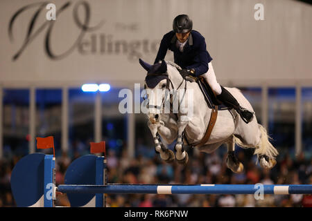 Florida, Stati Uniti d'America. 9 Feb 2019. Martin Fuchs partecipa nella classe 101 - FEI CSI5* $391,000 Fidelity Investments Grand Prix dove il vincitore è stato Martin Fuchs (Svizzera) il secondo posto è stato Kent Farrington (USA) e il terzo è stato Conor Swail (IRE). Credito: tempeste Media Group/Alamy Live News Foto Stock