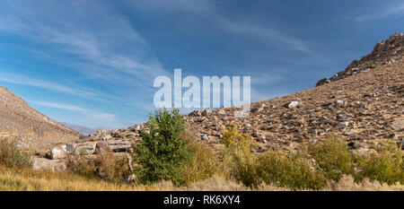 Erba di marroni, verdi alberi deserto roccioso pendii sotto il luminoso cielo blu con nuvole bianche. Vista panoramica. Foto Stock