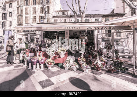 PALMA DE MALLORCA, Spagna - 9 febbraio 2019: Flower fornitori su La Rambla su una soleggiata giornata invernale il 9 febbraio 2019 in Palma de Mallorca, Spagna. Vintag Foto Stock