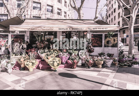 PALMA DE MALLORCA, Spagna - 9 febbraio 2019: Flower fornitori su La Rambla su una soleggiata giornata invernale il 9 febbraio 2019 in Palma de Mallorca, Spagna. Vintag Foto Stock