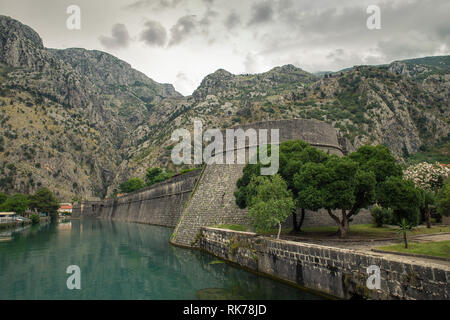 Kotor, Montenegro. Baia di Kotor Bay è uno dei luoghi più belli del mare Adriatico, vanta le conserve di fortezza veneziana, vecchio piccoli borghi, Foto Stock