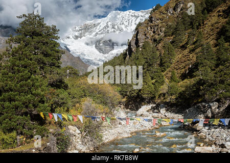 Bandiere di preghiera al di sopra di un fiume e Gangchhenta (grande Tiger Mountain) en route a Laya, Gasa distretto, Snowman Trek, Bhutan Foto Stock