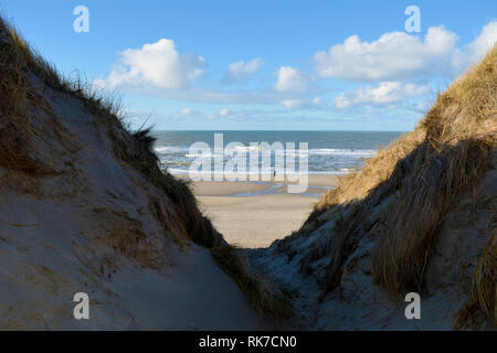 Vista tra due dune, cresciuto con spiaggia di erba, su una spiaggia del Mare del Nord a Texel. Isola in Olanda. Foto Stock