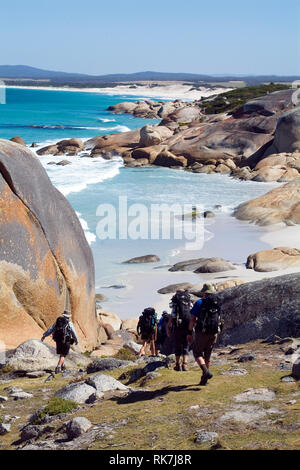 Gli ospiti sulla culla rifugi di montagna' Bay di incendi a piedi passeggiare attraverso massi arancione contaminato da un nativo moss presso la baia di incendi. Cradle Mountain H Foto Stock