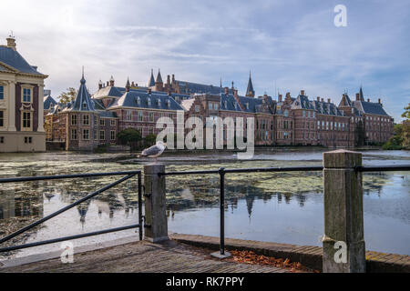 Il Hofvijver (corte pond) di fronte agli edifici del parlamento olandese, l'Aia, Paesi Bassi Foto Stock