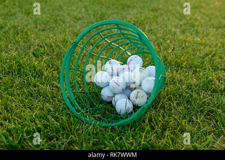 Palline da golf nel verde del cesto in plastica recante su di un campo da golf Foto Stock