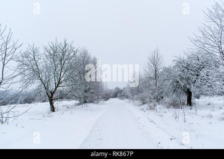 In inverno la neve alberi, Nuovo Anno di umore. Foto Stock