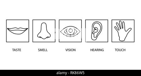 Icona set di cinque sensi umani: visione (occhio), l'odore (naso), audizione (EAR), toccare (mano), il gusto (bocca ). Semplici icone di linea Illustrazione Vettoriale